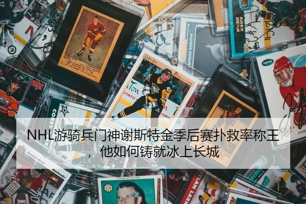 you-qi-bing-men-shen-xie-si-te-jin-ji-hou-sai-pu-jiu-lv-cheng-wang-ta-ru-he-zhu-jiu-bing-shang-chang-cheng-2-275.jpg