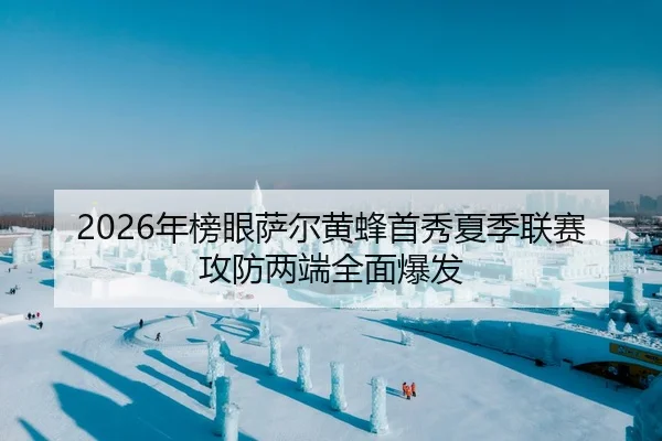 2026年榜眼萨尔黄蜂首秀夏季联赛攻防两端全面爆发